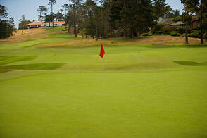 golf putting green play ground