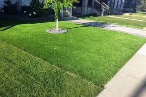 completed front yard artificial grass